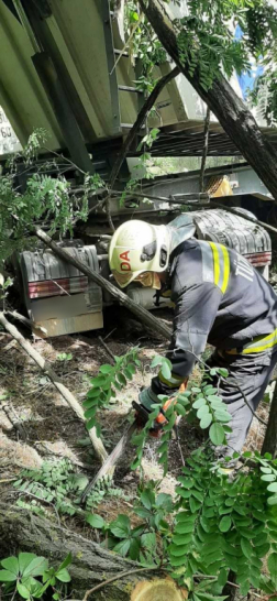 A dabasi tűzoltók eltávolították a kitört fákat