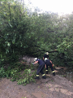 A villanyvezetékeket sem kímélte a vihar