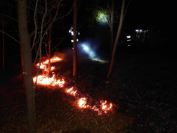 A dabasi tűzoltók oltották el a lángokat