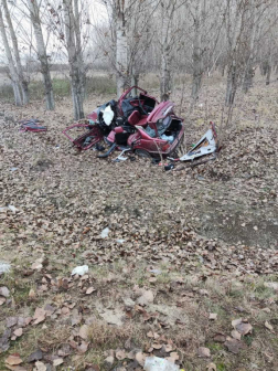 A monori hivatásos tűzoltók végezték a műszaki mentési feladatokat