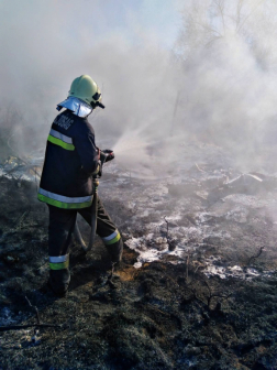 Szabadtéri tűz Gödöllőn