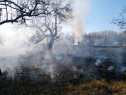 Kettőezer négyzetméteren égett a száraz növényzet