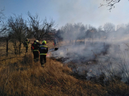 Hat ingatlan területét érintette a tűz