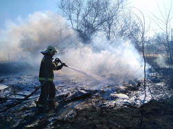 A tűz gyorsan terjedt