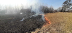 Húsz hektáron égett a száraz növényzet Dabason 