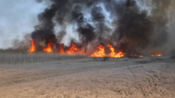 A tűz további területeket is veszélyeztetett