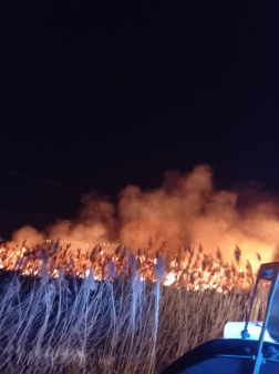 A tüzet az aszódi és a gödöllői tűzoltók oltották el